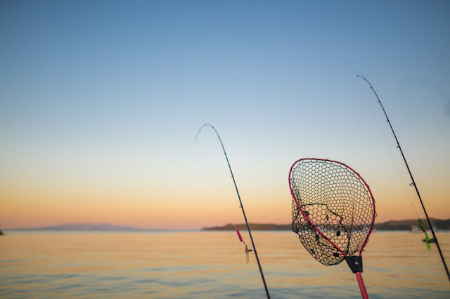 Kayak Fishing - Do You Really Need A Net? – Fishing Online