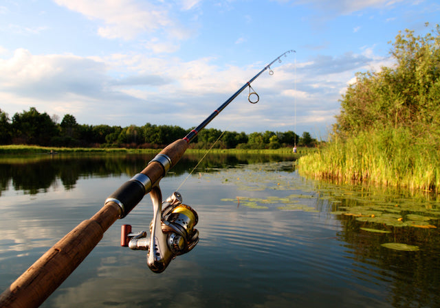 cast a fishing reel Lew's Speed SC600 Round Casting Lake Pro Tackle How to Cast With a