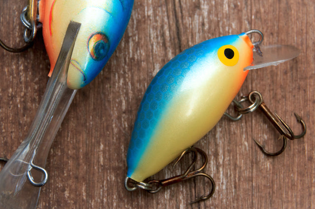 Advantages to Fishing With Colored Lures – Fishing Online