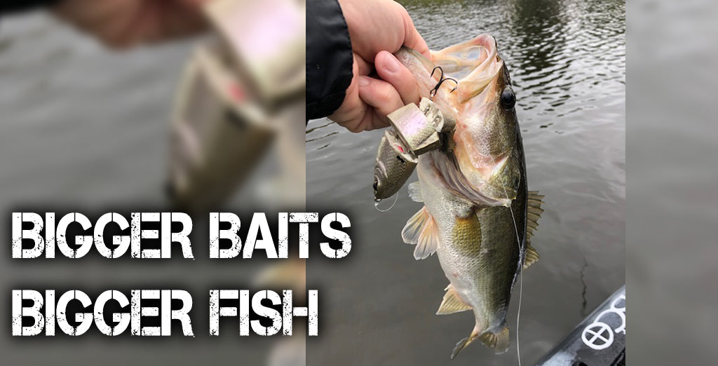 Bigger Bait, Bigger Fish – Fishing Online