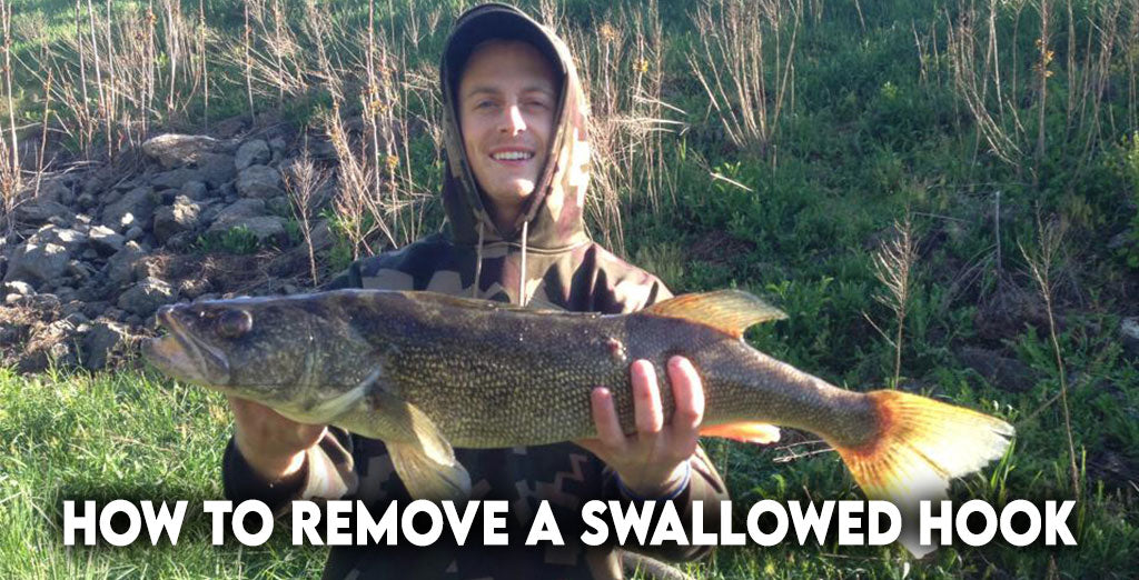 How to Remove a Swallowed Hook – Fishing Online
