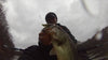 What is 412 Bait Company?