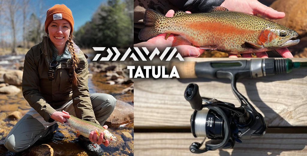 Daiwa Tatula Review by Nate Rees – Fishing Online