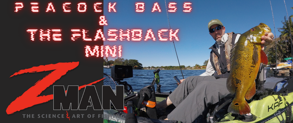 Peacock Bass and the Z-Man Chatterbait Flashback Mini – Fishing Online