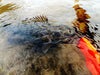 Must Have Gear for the River Kayak Angler