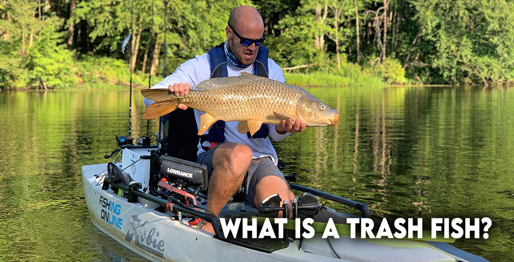 What is a Trash Fish? – Fishing Online