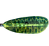 Bending Branches Angler Pro Paddle - Bruiser