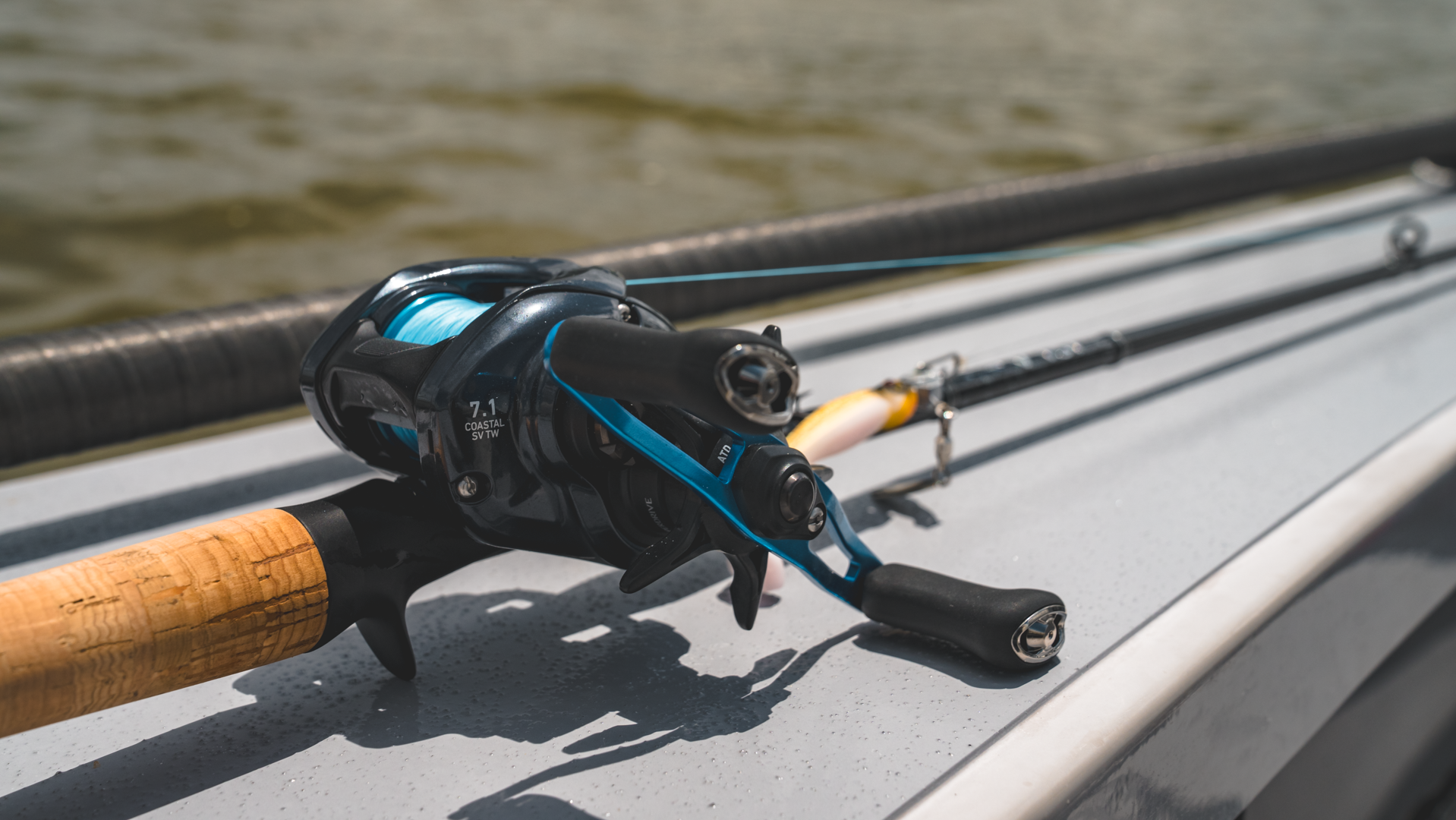 daiwa coastal inshore casting reel Daiwa Coastal SV TW150 Casting Reel
