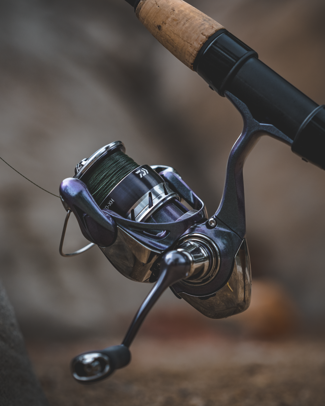 Daiwa Regal LT Spinning Reel | Fishing Online Daiwa Regal LT Spinning Reel | Fishing Online