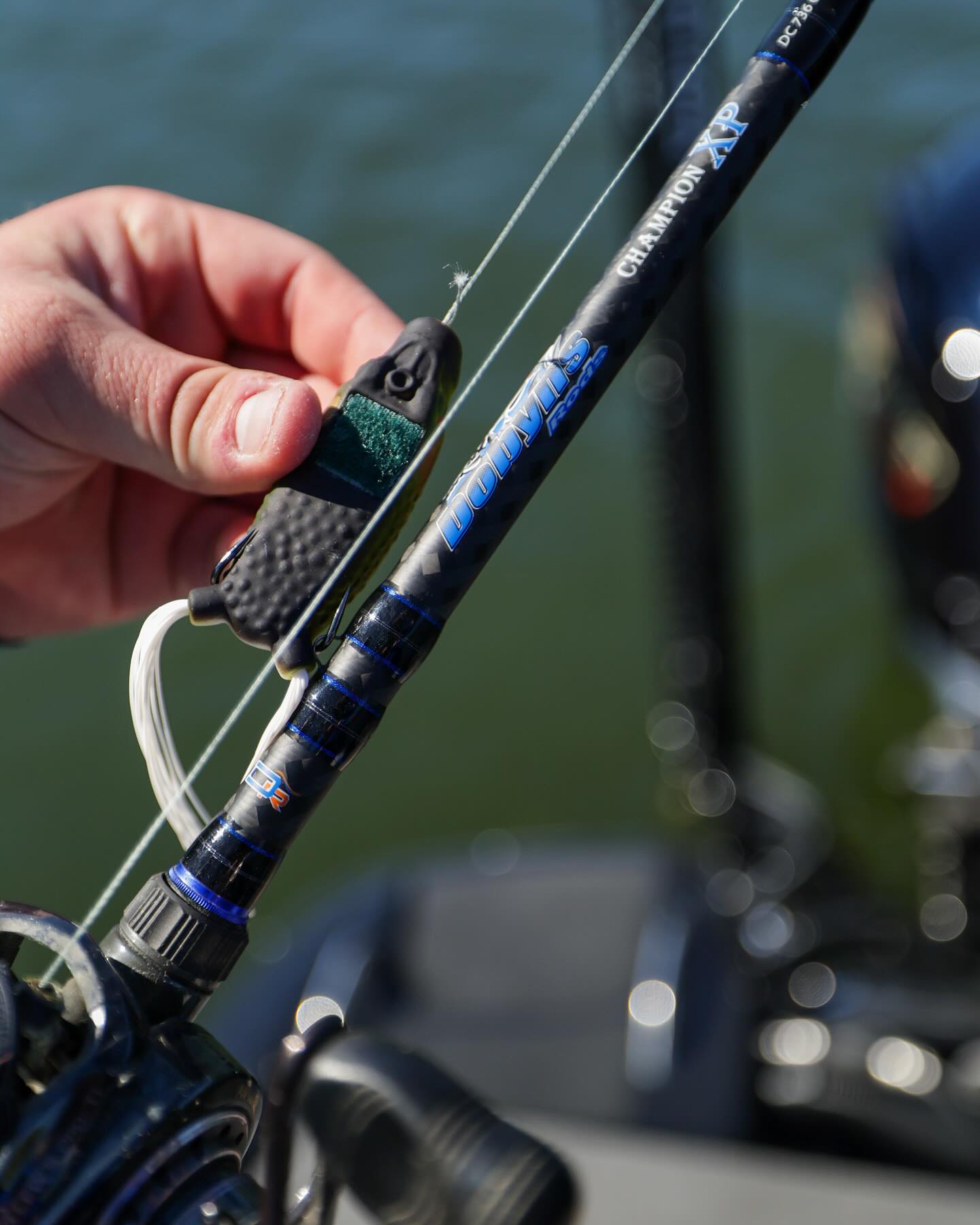 Dobyns Champion XP Series Casting Rod Dobyns Champion XP Series Casting Rod