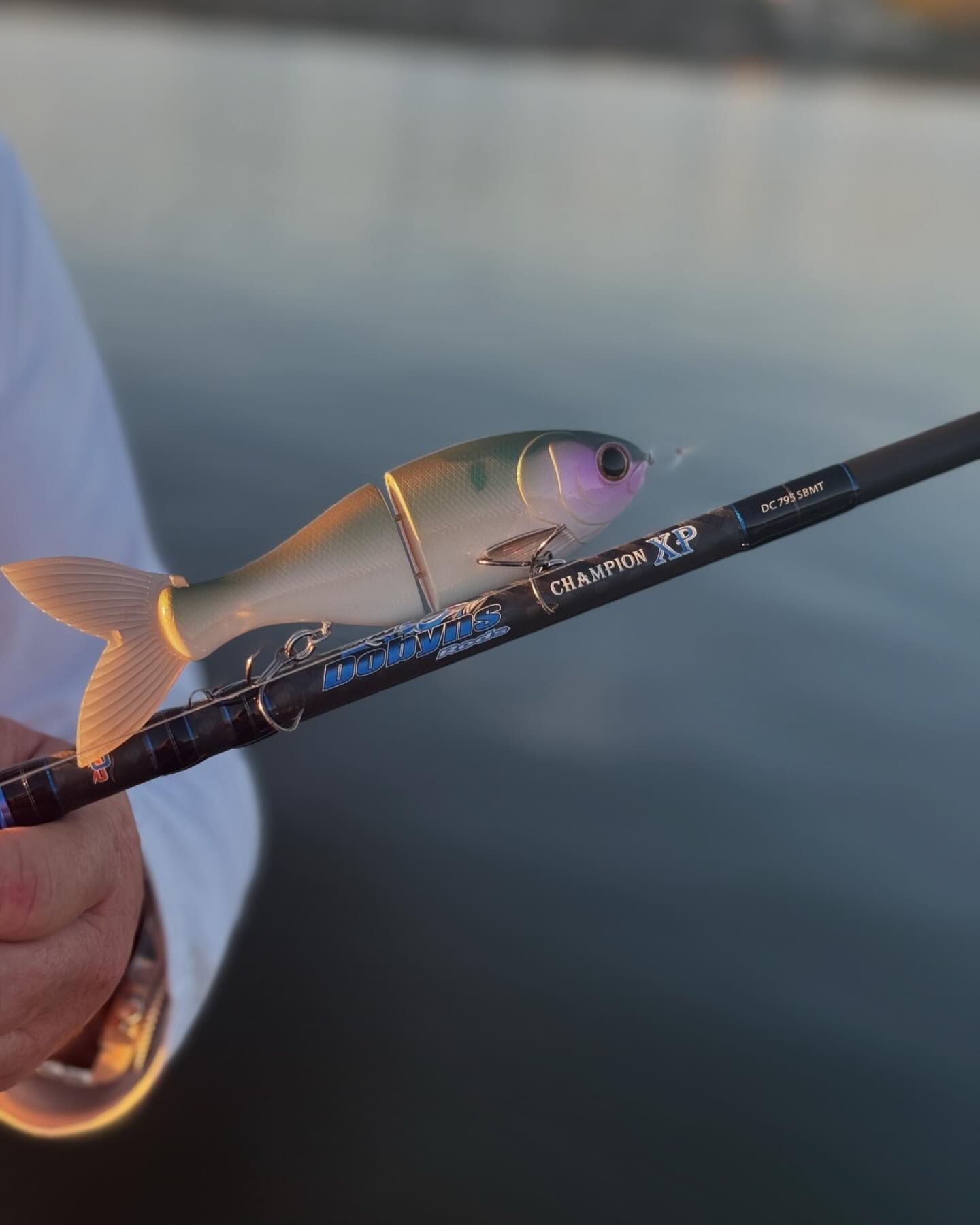 Dobyns Champion XP Series Casting Rod Fishing Online