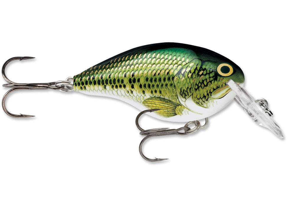 crankbait fishing lure Rapala DT (Dives-To) Series Crankbait, Bluegill
