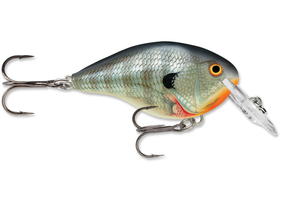 best fishing lures brand crankbaits different brands Rapala DT (Dives-To) Series Crankbait, Bluegill
