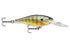 Rapala Shad Rap [Bluegill]